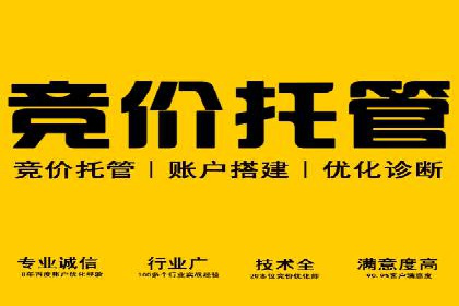 揭秘SEM竞价代运营高效策略