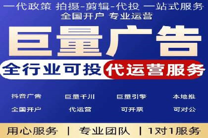 竞价广告的投放时机与频次选择——基于案例的探讨